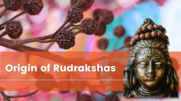 Origin Of Rudraksha: The Tears Of Lord Shiva