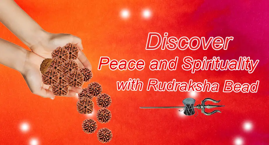 Rudraksha Catalogue