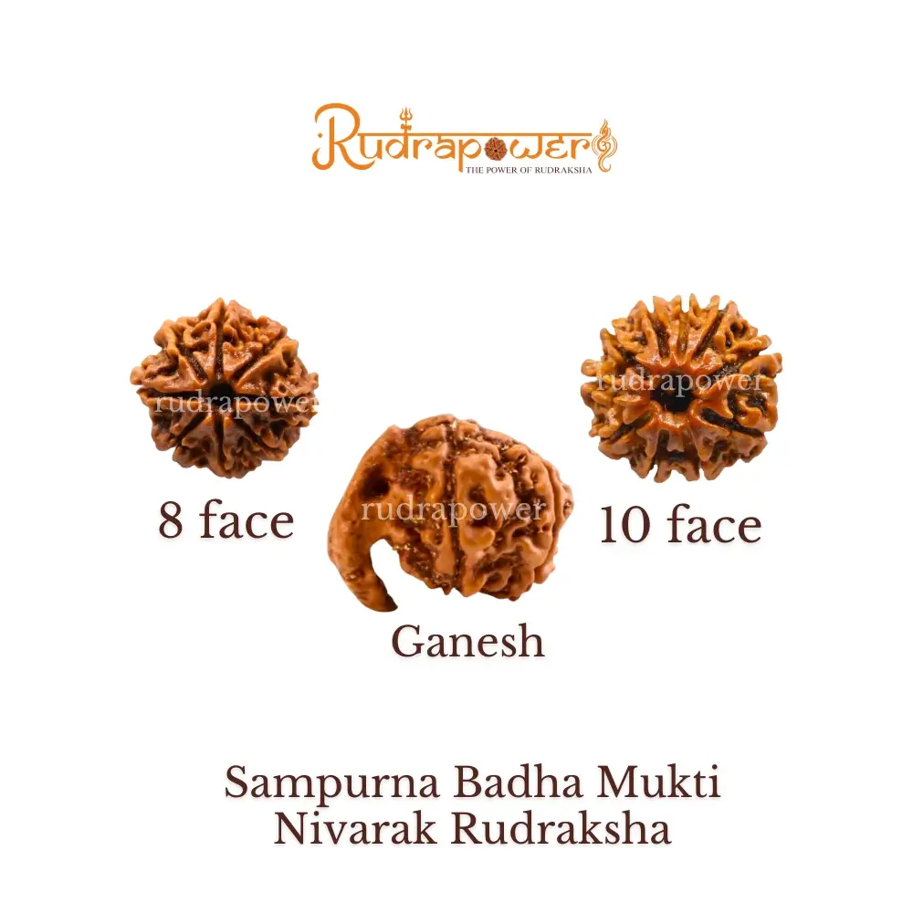 Sampurna Badha Mukti Nivarak Rudraksha