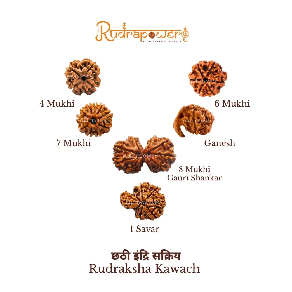 छठी इंɞद्रि सɟक्रिय Rudraksha Kawach