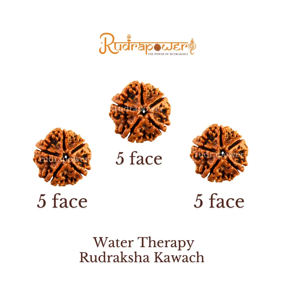 Water Therapy Rudraksha