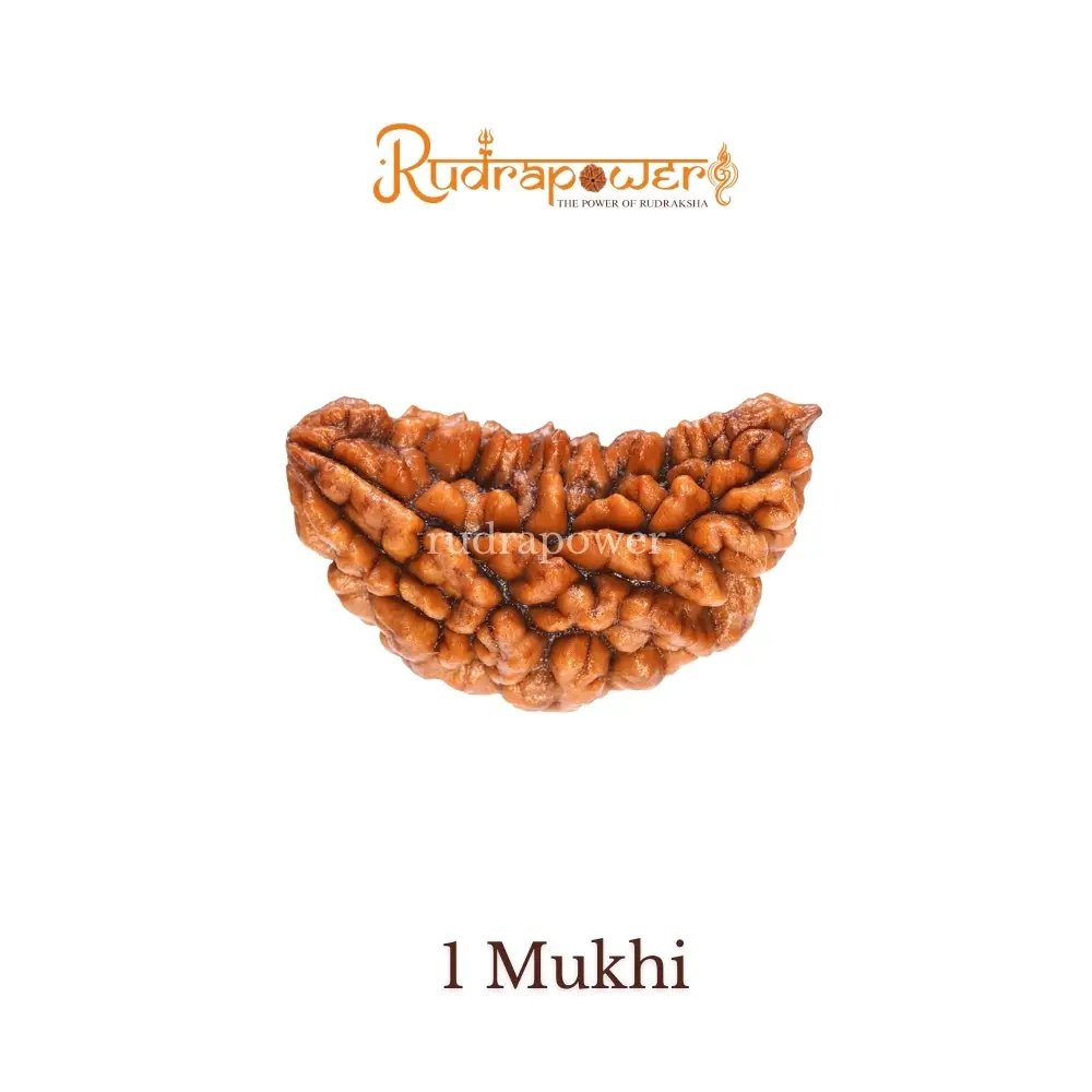 1 mukhi South Indian